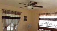 Rays Bed And Breakfast Hostel Kingston Esterno foto